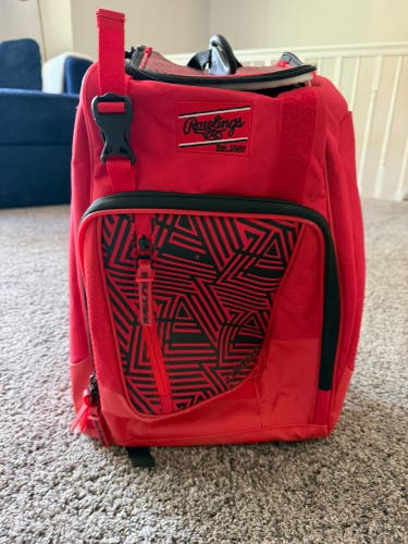 Rawlings Bat Bag (Used)