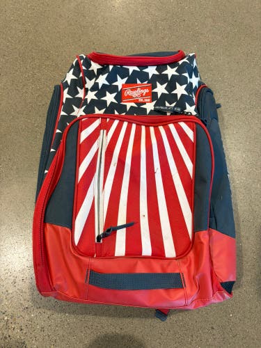 Rawlings Mark Of A Pro Bat Bag