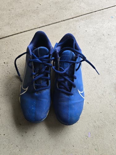 Blue Kid's 6Y (Big Kids / Youth) Nike (Used)