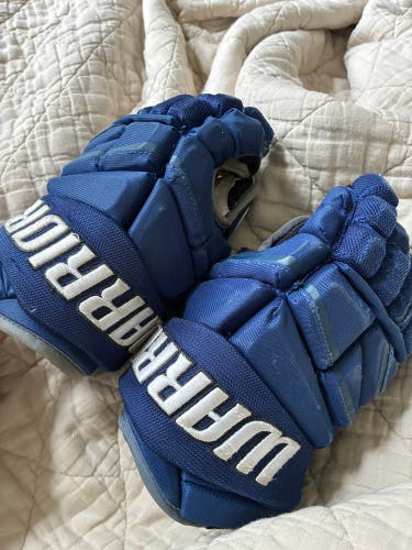 Warrior Alpha Pro Gloves 10" (Used)