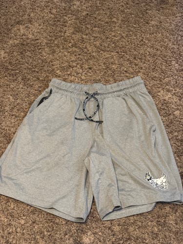 GOAT USA Gray Small Men's Shorts (Used)