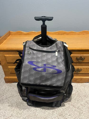 Purple Kids Unisex Boombah Backpack (Used)
