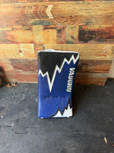 Vaughn Velocity V10 Pro Carbon Regular Blocker (Used)