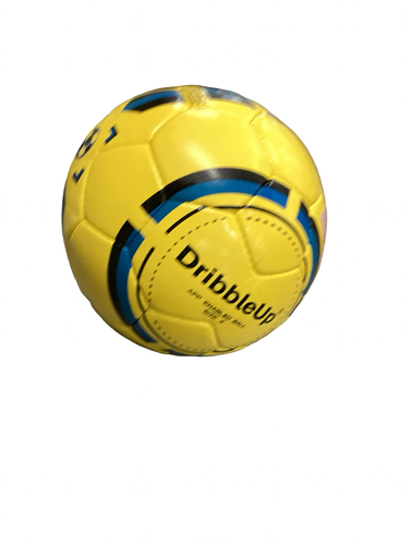 Champro Used Basketball