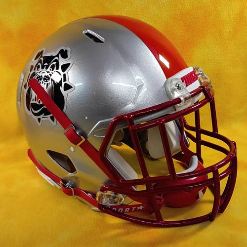 Fresno State Bulldogs SUPER custom fullsize football helmet Riddell Speed Lg