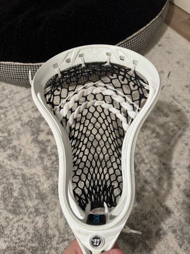 Warrior Evo V