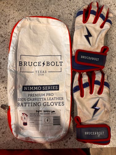 Large Bruce Bolt Batting Gloves (Used)