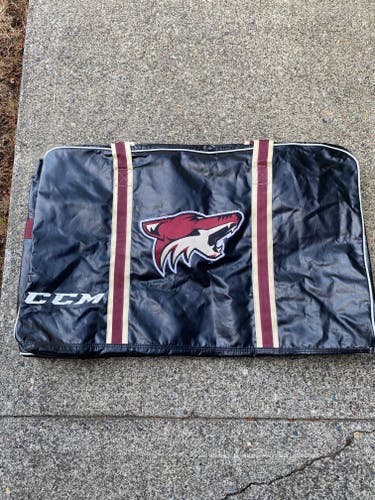 CCM Bag (Used)