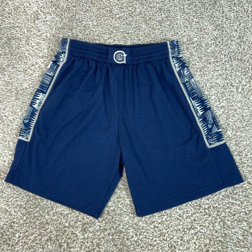 Georgetown Hoyas Shorts Mens Large Blue Mitchell Ness NCAA Basketball Mesh Logo