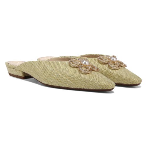 Sam Edelman Jayden I5330F1300 Mule Women 6.5 Pistachio Snip Toe Slip On HTAT1781