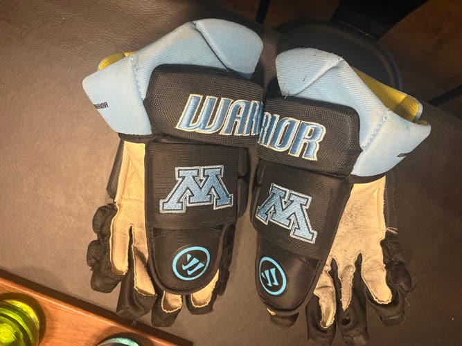 Warrior Gloves 15" (Used)