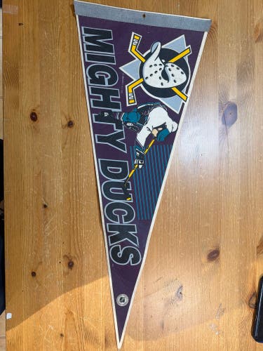Mighty Ducks pennant