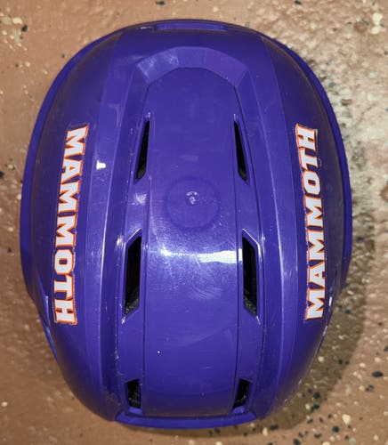 USED ELMIRA MAMMOTH ALPHA ONE PRO FPHL HELMET size LARGE
