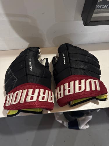 Warrior Alpha DX Pro Gloves 14" Pro Stock Russian spec (Used) (new palms)