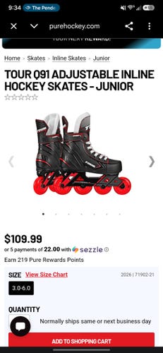 Tour Inline Skates (Used)