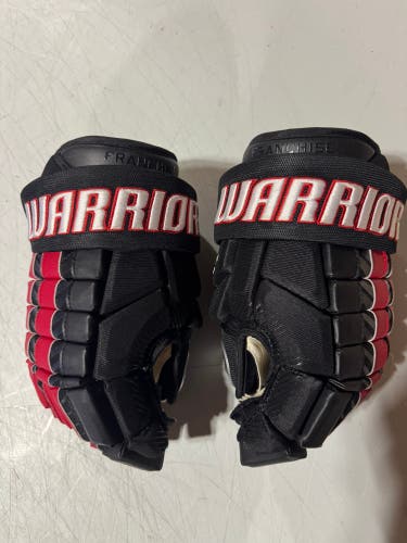 Warrior Franchise Gloves 14" (Like New)