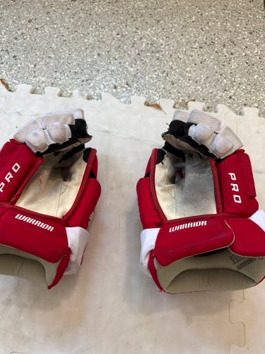 Warrior Alpha Gloves 13" (Used)