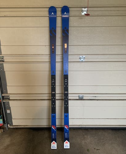 Men's 2024 Dynastar 193 cm Racing Course  GS WC FIS Skis Without Bindings (Used)