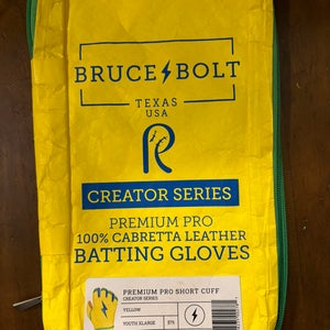 XL Bader Batting Gloves (Used)