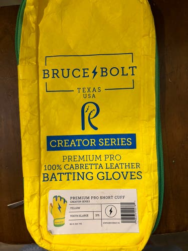 XL Bader Batting Gloves (Used)