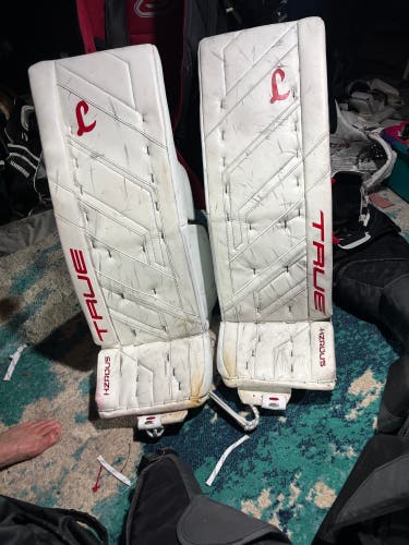 32" True HZRDUS 9x4 Regular Goalie Full Set (Used)