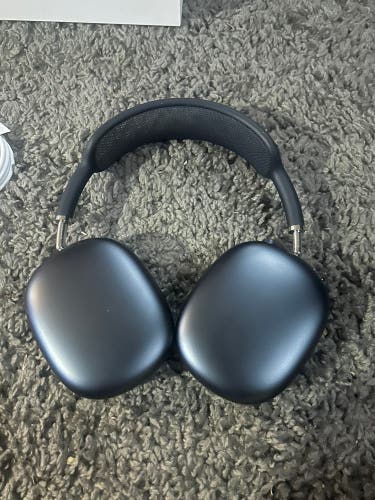 Apple Headphones (Used)