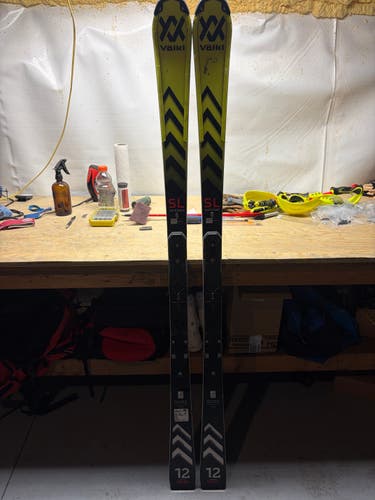 Unisex Europa Cup 2024 Racing 165 cm Volkl Racetiger SL Skis Without Bindings (Used)