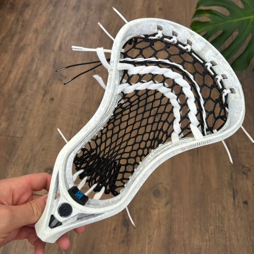 Warrior Evo QX-O w/ Stringking 5x