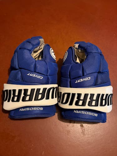 Tampa bay lightning gloves