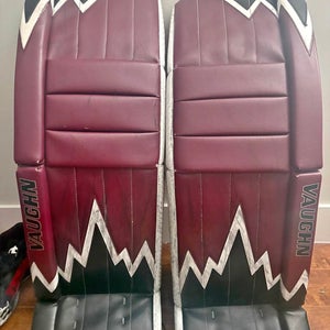 34+2 Vaughn Vaughn Velocity V9 Iceberg Goalie Full Set