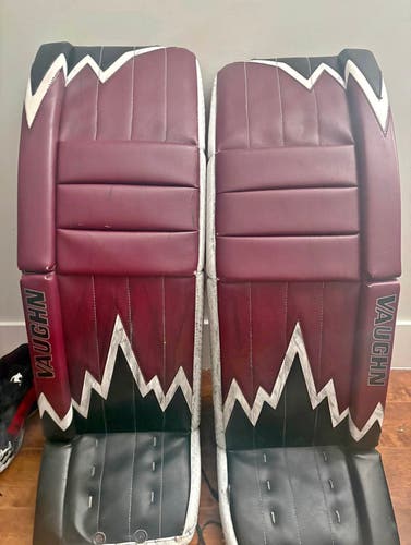34+2 Vaughn Vaughn Velocity V9 Iceberg Goalie Full Set