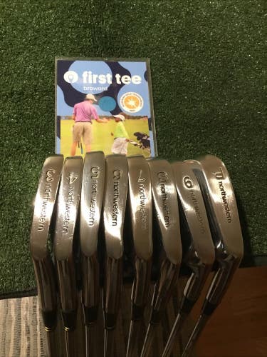 Northwestern Tournament Irons Set (3-PW) Pro-Flex Steel Shafts (STD -2) *VGC*