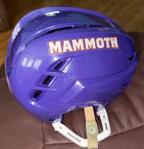 USED ELMIRA MAMMOTH FPHL HELMET size SMALL # 23