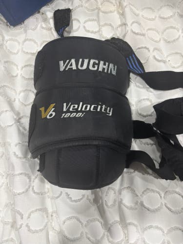 Vaughn Velocity V6 1000i (Used)