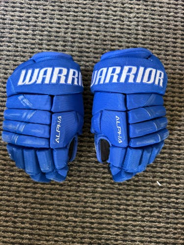 Warrior Alpha Gloves 11" (Used)
