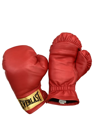 Used Everlast Boxing Gloves Red SM 11613-S000189896