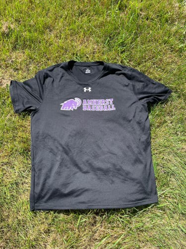 Black Large Men's Under Armour amherst college baseball Shirt (Used)