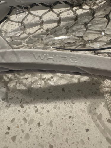 Youth Gait whip Stick (Used)