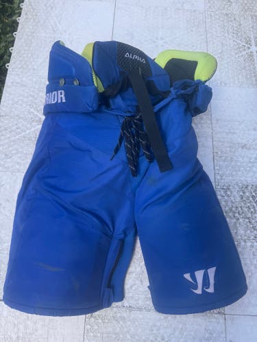 Men's Senior Medium Warrior Alpha LX PRO Hockey Pants Pro Stock (Used)