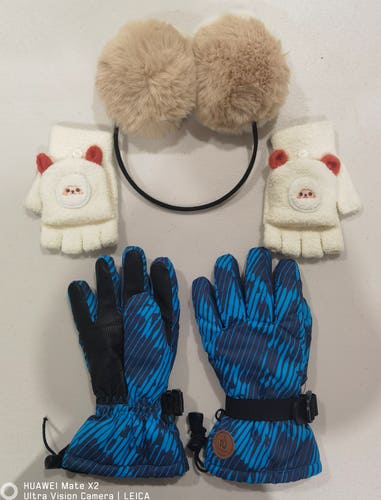Gloves+Earmuffs (Used)