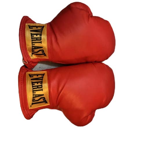 Used Everlast Boxing Gloves Red Junior 11730-S000073927