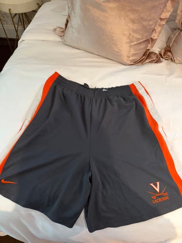 Gray Medium UVA Men's Nike Shorts (Used)