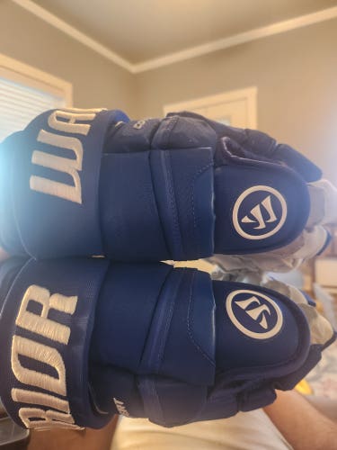 Warrior Gloves 15" (Used)