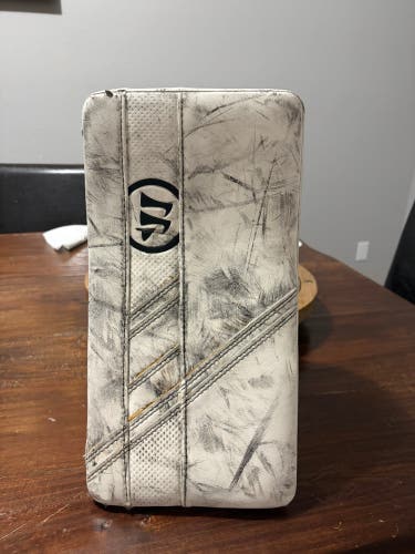 2020 Warrior Ritual G5 Regular (Used)