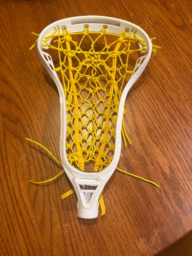 Gait Apex 2 Head (New)