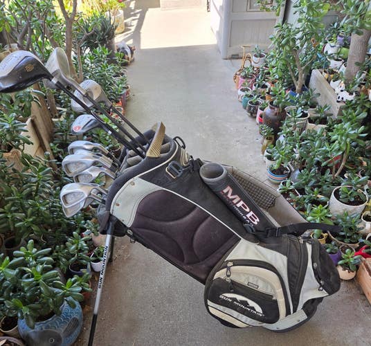 SET MEN'S 12 PIECE GOLF SET 4 WOODS 7 IRONS PUTTER 13 WAY STAND BAG