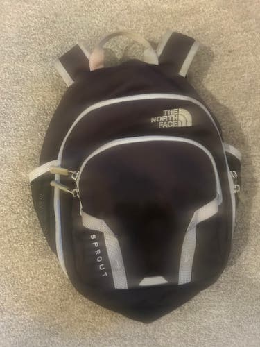 The North Face Backpack (Used)
