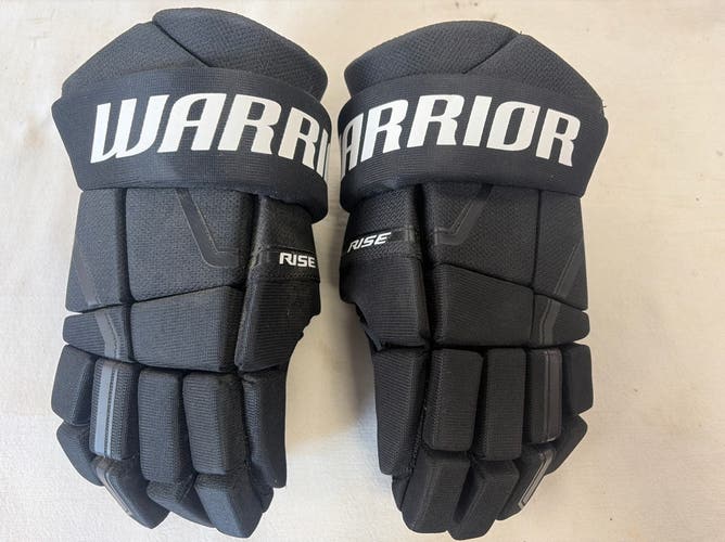 Warrior Rise Gloves 12" (Used)