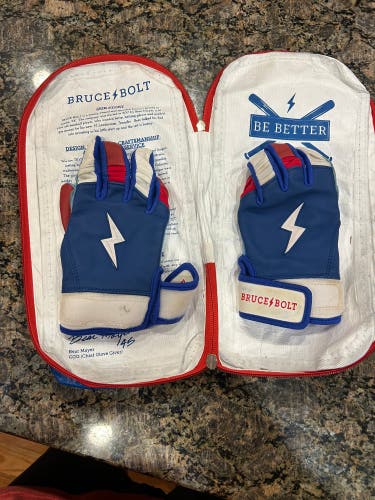 Small Creator Series Batting Gloves (Used)
