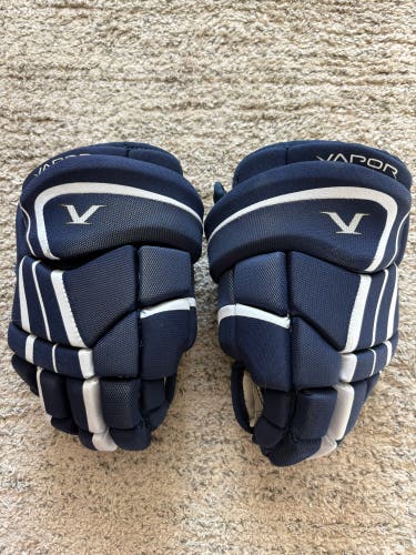 Blue Junior Bauer Vapor V Gloves 12" (Used)